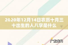 2020年12月14日农历十月三十出生的人八字是什么