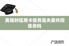 离婚时信用卡债务是夫妻共同债务吗