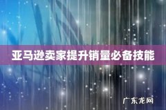 亚马逊卖家提升销量必备技能