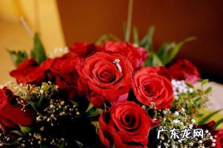 玫瑰花放在哪风水好 玫瑰花的风水讲解图