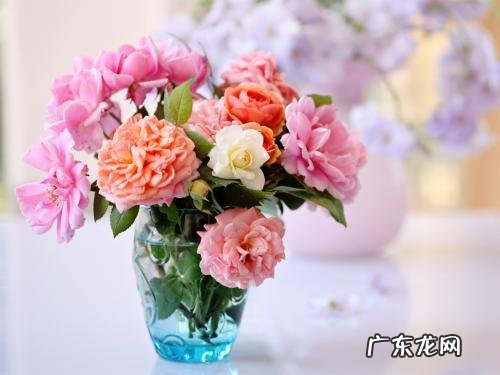 玫瑰花放在哪风水好 玫瑰花的风水讲解图