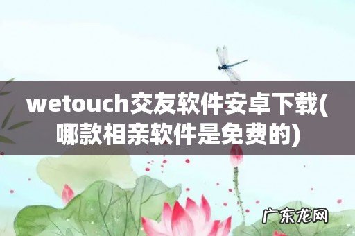 哪款相亲软件是免费的 wetouch交友软件安卓下载