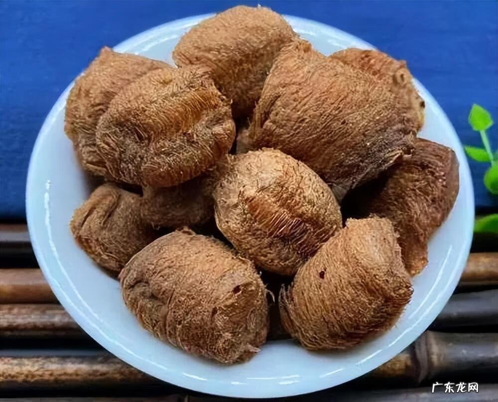 桑螵蛸的功效与作用图片 桑螵蛸的功效与作用用量