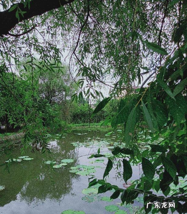 都江堰看风水的先生在哪里 都江堰哪里风水最好的