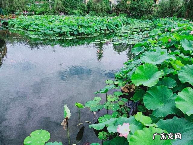 都江堰看风水的先生在哪里 都江堰哪里风水最好的