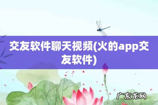 火的app交友软件 交友软件聊天视频