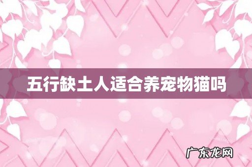 五行缺土人适合养宠物猫吗