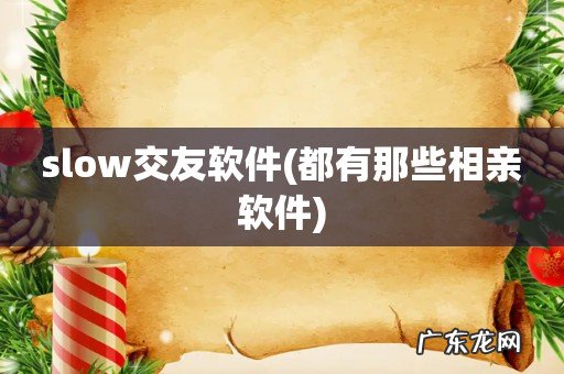 都有那些相亲软件 slow交友软件