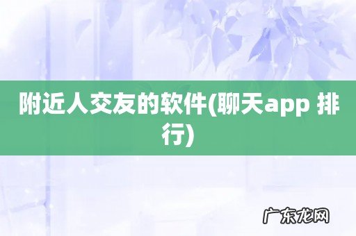 聊天app 排行 附近人交友的软件
