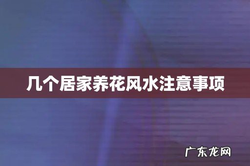 几个居家养花风水注意事项