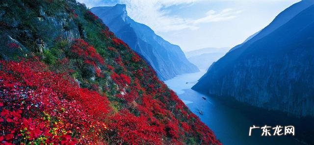 犀牛饮水的风水宝地 猛虎饮泉风水宝地