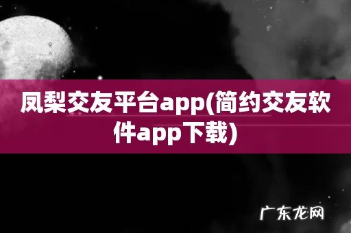 简约交友软件app下载 凤梨交友平台app