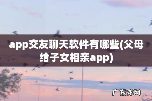 父母给子女相亲app app交友聊天软件有哪些