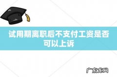 试用期离职后不支付工资是否可以上诉