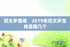 犯太岁查询　2019年犯太岁生肖是哪几个