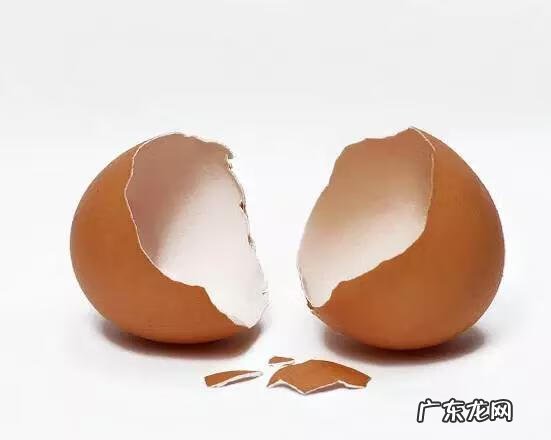 硬币放在水里招财 硬币怎么招财