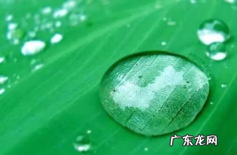 硬币放在水里招财 硬币怎么招财