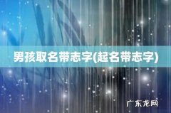 起名带志字 男孩取名带志字