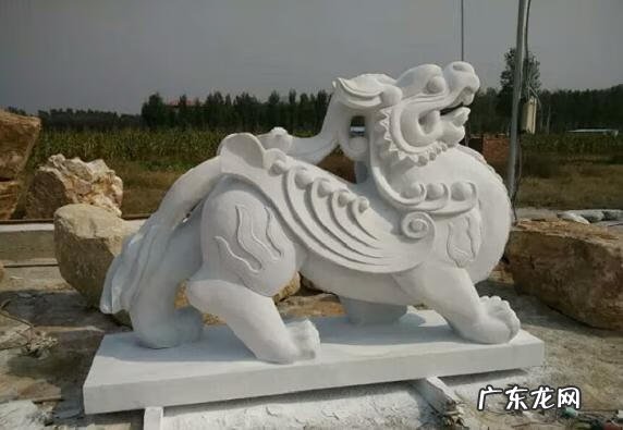 龙的摆放有什么讲究 龙摆放位置朝向