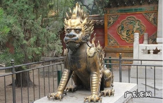 龙的摆放有什么讲究 龙摆放位置朝向