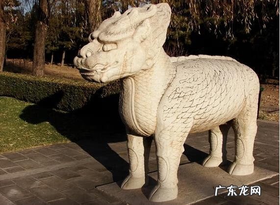 龙的摆放有什么讲究 龙摆放位置朝向