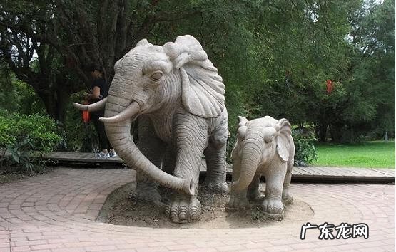 龙的摆放有什么讲究 龙摆放位置朝向