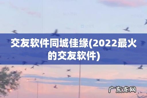 2022最火的交友软件 交友软件同城佳缘