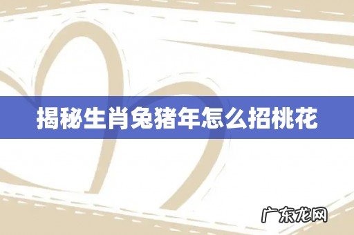 揭秘生肖兔猪年怎么招桃花