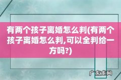 有两个孩子离婚怎么判,可以全判给一方吗? 有两个孩子离婚怎么判