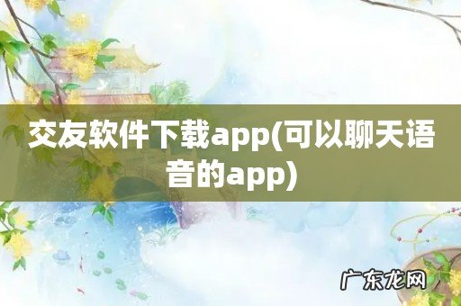 可以聊天语音的app 交友软件下载app