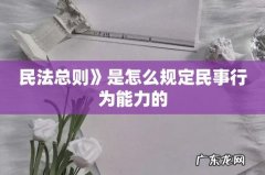 民法总则》是怎么规定民事行为能力的