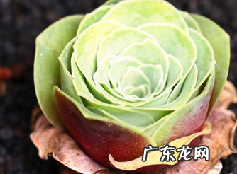 山地好不如风水好