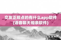 语音聊天相亲软件 交友正规点的有什么app软件
