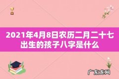 2021年4月8日农历二月二十七出生的孩子八字是什么