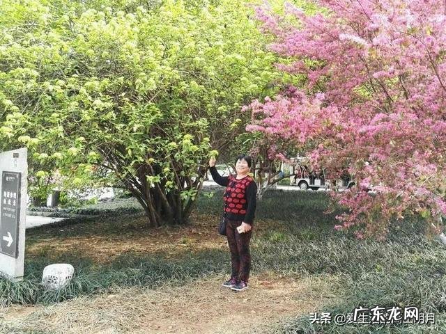 衡阳风水宝地 韶山老家风水宝地是哪里