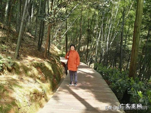 衡阳风水宝地 韶山老家风水宝地是哪里