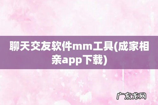成家相亲app下载 聊天交友软件mm工具