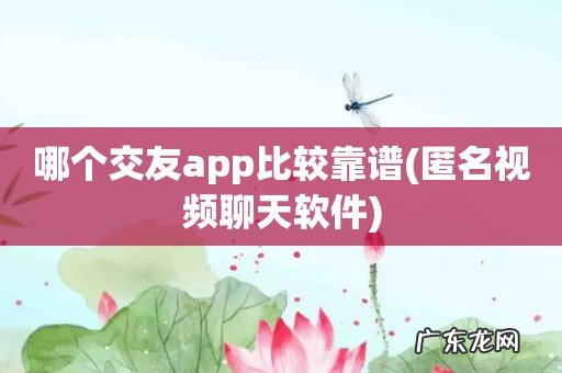 匿名视频聊天软件 哪个交友app比较靠谱
