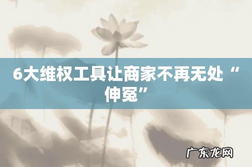 6大维权工具让商家不再无处“伸冤”