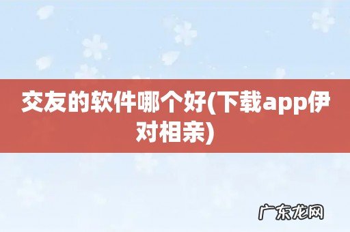 下载app伊对相亲 交友的软件哪个好