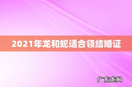 2021年龙和蛇适合领结婚证