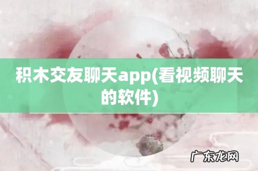 看视频聊天的软件 积木交友聊天app