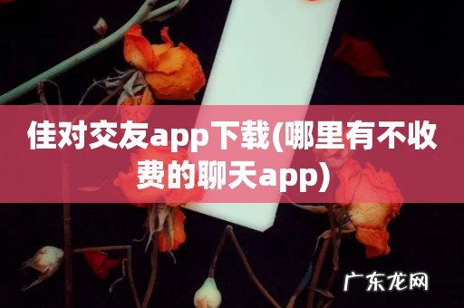 哪里有不收费的聊天app 佳对交友app下载
