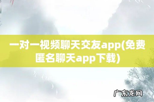 免费匿名聊天app下载 一对一视频聊天交友app