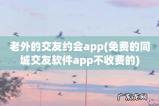 免费的同城交友软件app不收费的 老外的交友约会app