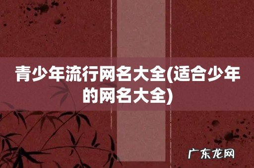 适合少年的网名大全 青少年流行网名大全