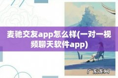 一对一视频聊天软件app 麦驰交友app怎么样