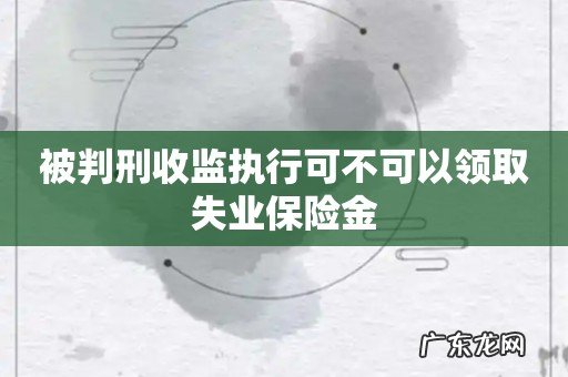 被判刑收监执行可不可以领取失业保险金