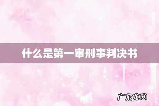 什么是第一审刑事判决书