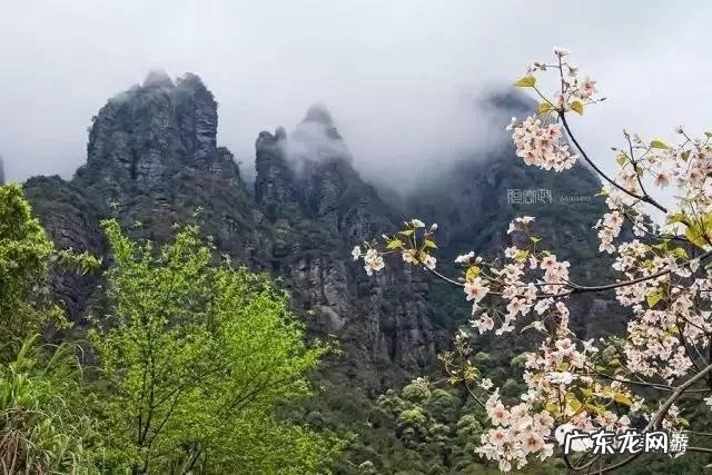 横龙风水能出什么人 横县镇龙山主峰风水图